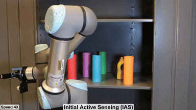 Active Neural Sensing